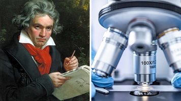 ДНК анализ на косата на Бетховен показва отравяне с олово