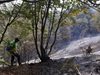 Нарязали гумите на колите на Национален парк „Централен Балкан“, където бушува пожар
