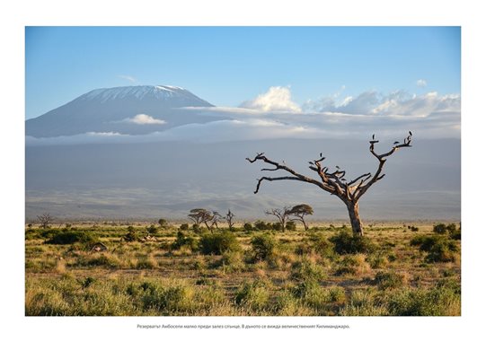 Саваната на Килиманджаро
