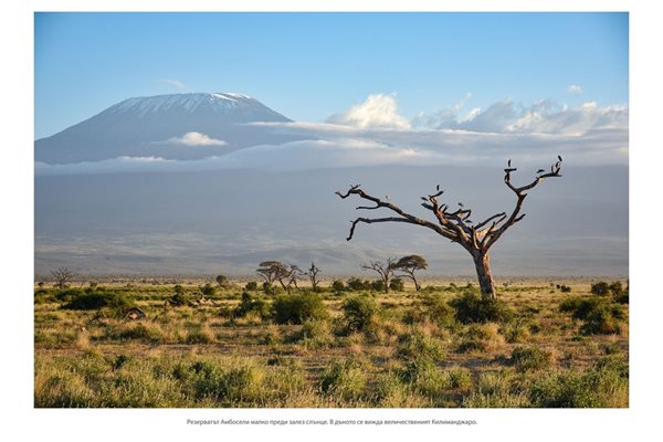 Саваната на Килиманджаро