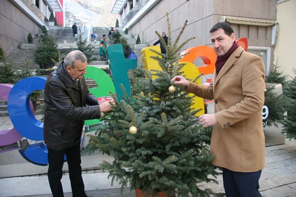 Кметът Иван Тотев /вдясно/ и заместникът му Алекксандър Държиков се включиха в украсяването на боровата горичка на стълбището, което води към Сахат тепе. Снимка: Евгени Цветков