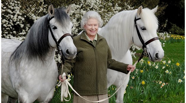 Покойната кралица Елизабет Втора с конете си