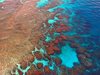 Учен: Корали от Големия бариерен риф са измрели от топлинен стрес, буквално са "сготвени"