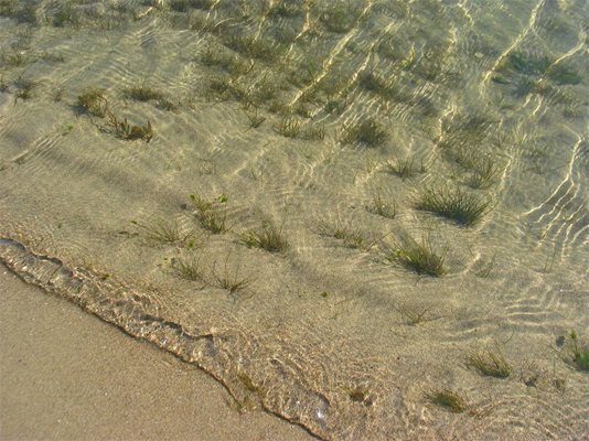 С кристална вода и фин пясък островите съперничат на морските плажове.