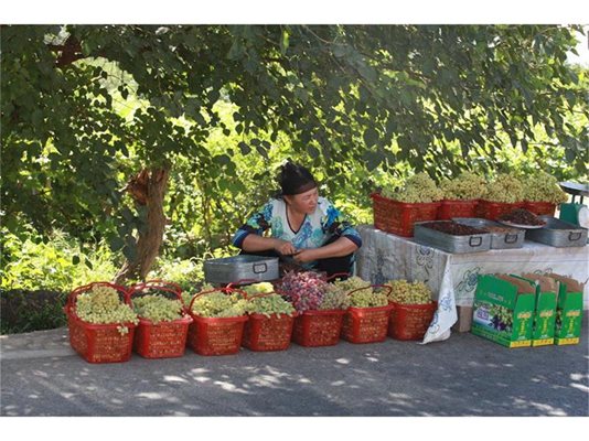 Край пътищата в района на Турфан често седят продавачи на грозде.