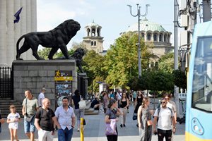 Пловдив и Варна изпревариха София по ръст на обяви за работа