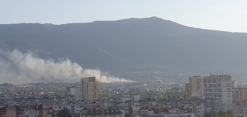 A fire is burning at the foot of Vitosha PHOTO: Facebook/Spotted in Sofia