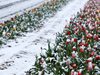Синоптик: Зимата ще бъде относително мека