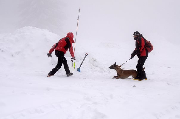 Спасителите провеждат редовни обучения с кучетата си.