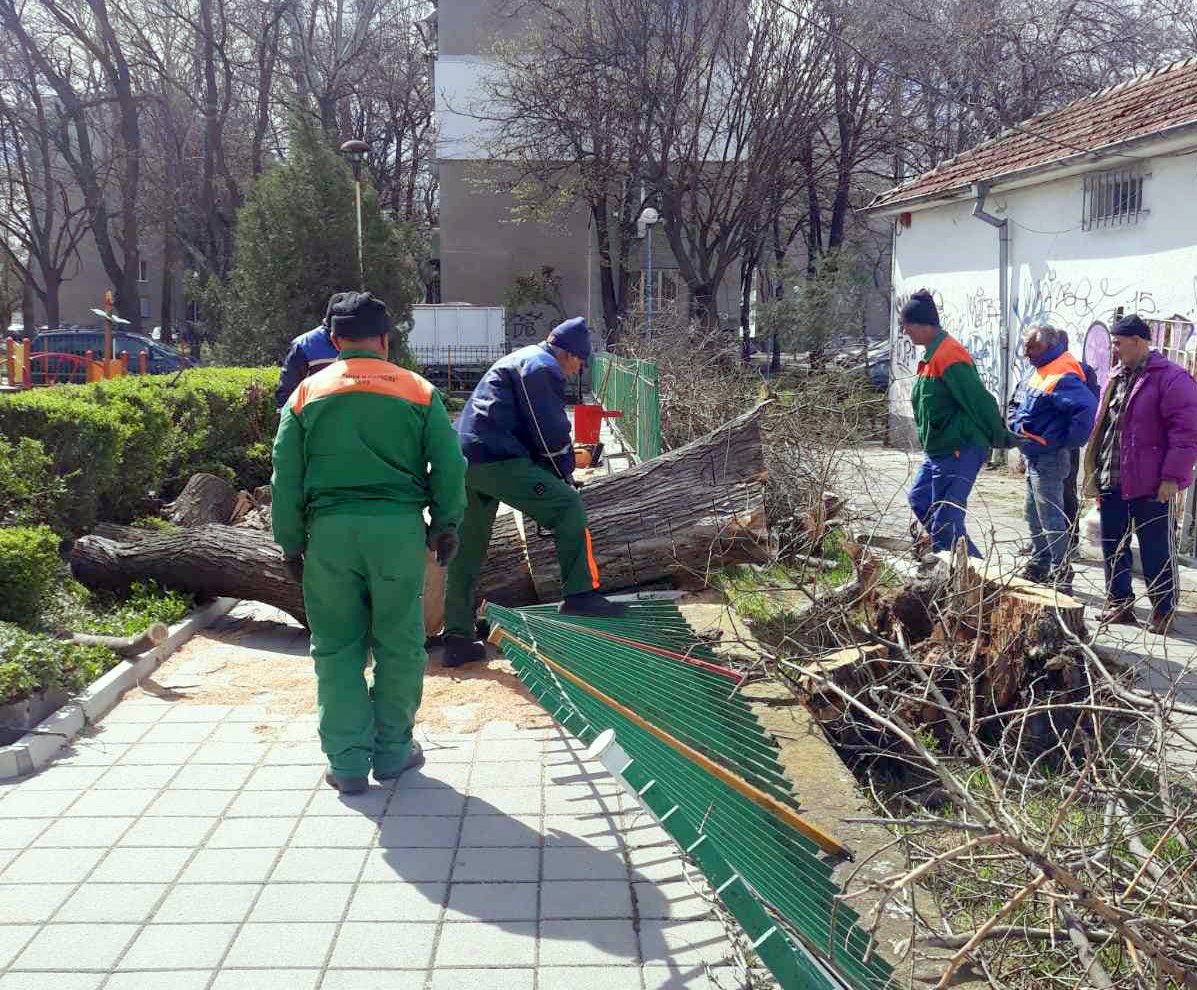 Над 90 сигнала за паднали дървета, пътни знаци и стълбове в Пловдив, екипите на крак