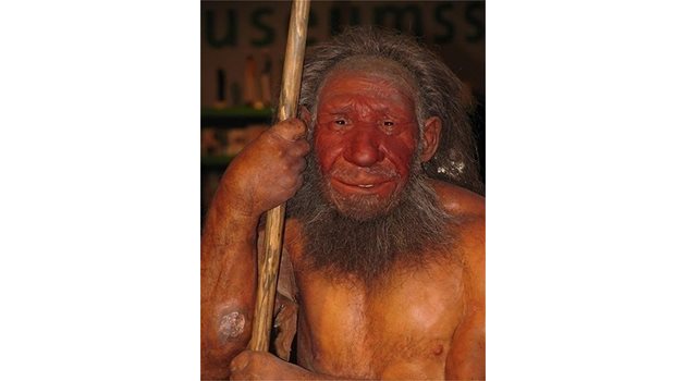 Възстановка на неандерталец СНИМКА: Уикипедия