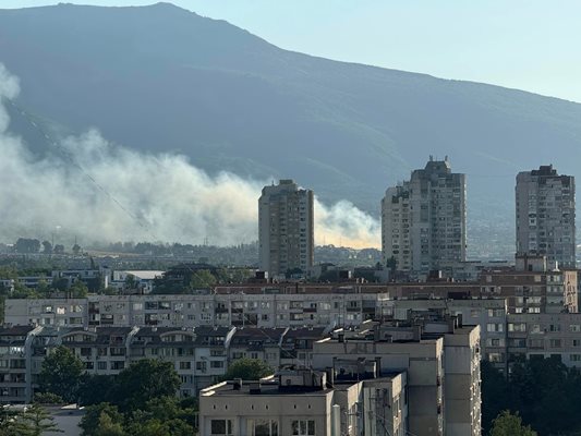 Пожар гори в подножието на Витоша 
СНИМКА: Facebook/Забелязано в София