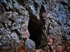 Откриха труп на мъж в пещера в Кюстендилско