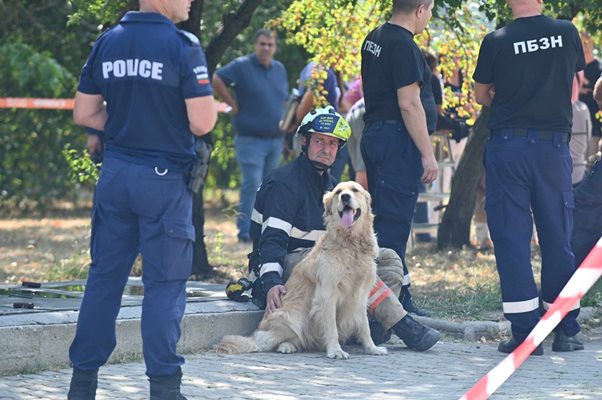 С куче търсят затрупани под срутената аула на НБУ