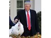 Тръмп пуска шеги за импийъчмънта, докато помилва пуйка (Снимки)