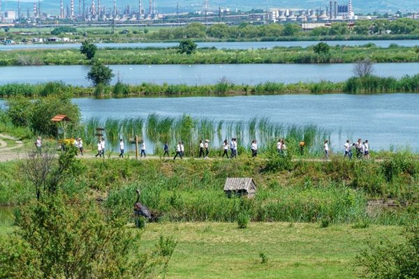 Вая е част от Бургаския езерен комплекс.