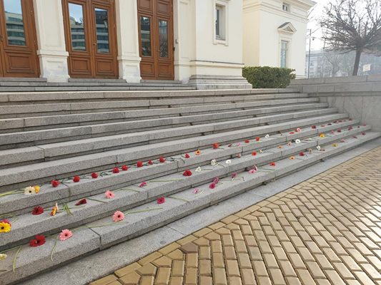 Десетки оставиха счупени цветя за жертвите от домашно насилие