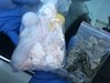 ГДБОП разби столична наркобанда, шестима са в ареста (снимки)