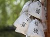 В Пекин започна ежегодният обучителен курс по традиционна китайска медицина за чуждестранни медици