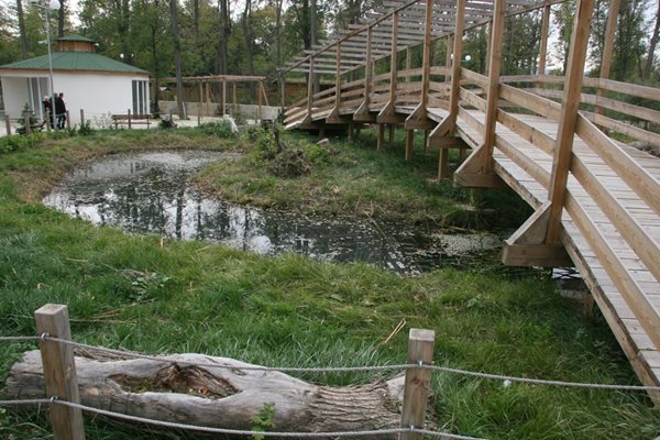 Дървен мост минава над езеро, предназначено за водоплаващите птици
