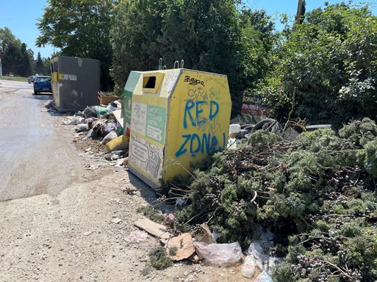 Особено тежко е положението във вилните зони, в които скоро ще бъдат поставени зелени контейнери за градински отпадъци. Снимка: Надежда Алексиева.