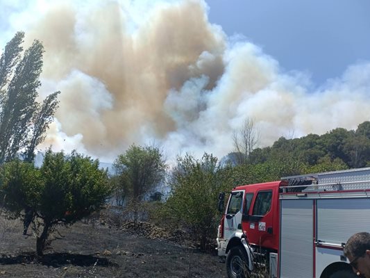 Горски пожар в обхвата на Държавно горско стопанство Струмяни вдигна на крак служителите на Югозападното държавно предприятие. СНИМКИ: ЮЗДП