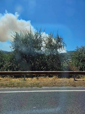 Горски пожар в обхвата на Държавно горско стопанство Струмяни вдигна на крак служителите на Югозападното държавно предприятие.