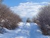 Най-дебела е снежната покривка в Свищов – 69 см