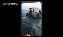 Американски турист целува кит край бреогвете на Мексико