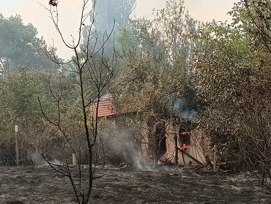 Смята се, че огънят в Пъстрово е тръгнал от двора на изоставена къща, в който имало много бурени и сухи треви.
Снимка: Ваньо Стоилов