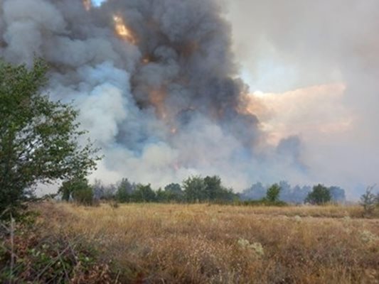 Пожар между селата Оряхово и Васково, горят сухи треви