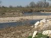 Дигата на река Чая край село Катуница е скъсана на няколко места