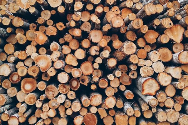 Незаконни дърва за огрев откриха на четири адреса в Скутаре и Калековец.