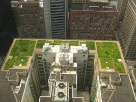 Зелени покриви има на кметството в Чикаго и във Валенсия. СНИМКА: Изследователите
