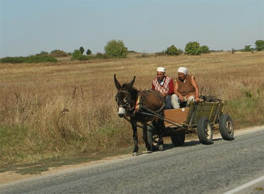 Каруцар бере душа, пометен от &quot;Голф&quot;