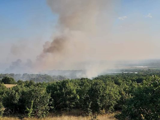 Огнеборците ограничиха пожара край Калояново.