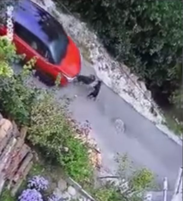 Заловиха от клип смолянчанка, която гази умишлено куче с колата си (Видео)