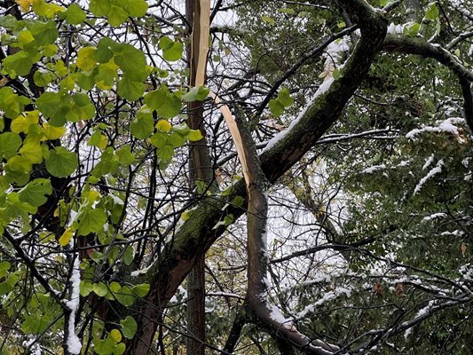 Нови валежи от сняг не се очакват в Пловдив днес.