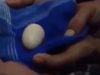 Момче от Индонезия твърди, че снася яйца (Видео)