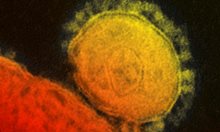 Шестте най-популярни конспиративни теории за коронавируса