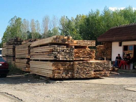 56,8 процента е скочила цената  на дървения материал на вътрешния пазар. Снимка: Архив