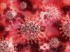 Германия свиква утре спешна среща на ЕС заради новия щам на коронавируса