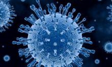 Ако организмът не успее да създаде защита след заболяване, как може да има ваксина срещу коронавирус