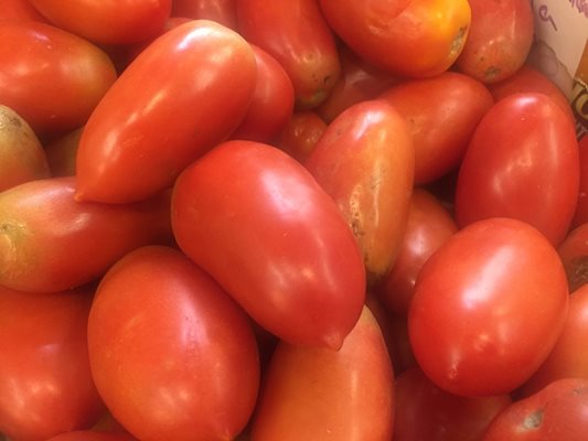 В провинция Фоджа се произвеждат 40 на сто от продълговатите домати в Италия.