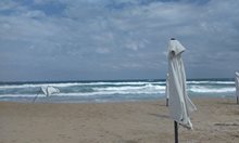 Труп на мъж вцепени плажуващи в Бургас
