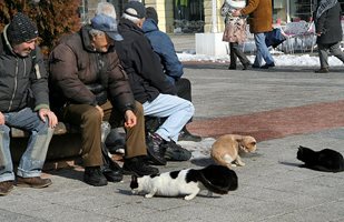 Ножицата при пенсиите се разтвори: с 200 лв. повече вземат столичани

вземат столичани