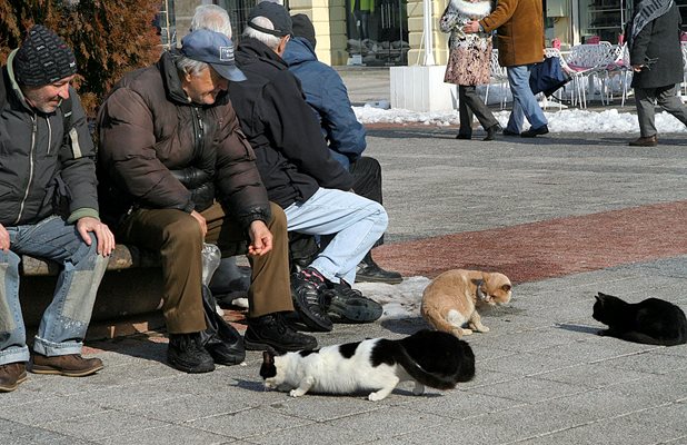 Всички пенсионери ще получат по 60 лв. добавки за коронакризата до юни