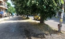 Напаст във Варна, улиците станаха лепкави (Снимки)