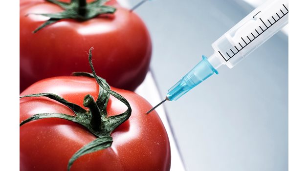Ако кризата се задълбочи, "горчивият" хап с ГМО ще влезе в дневния ред.
СНИМКИ: РОЙТЕРС