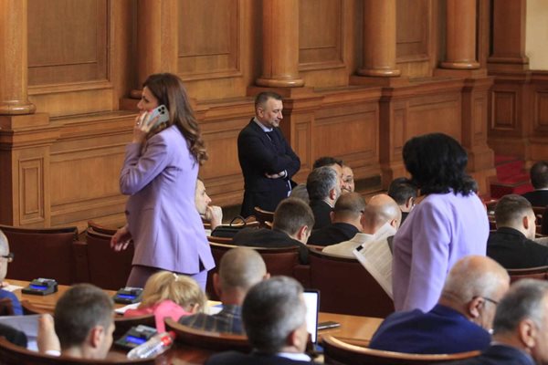 Предваканционно светлолилавото се оказа на мода сред дамите в пленарната зала.